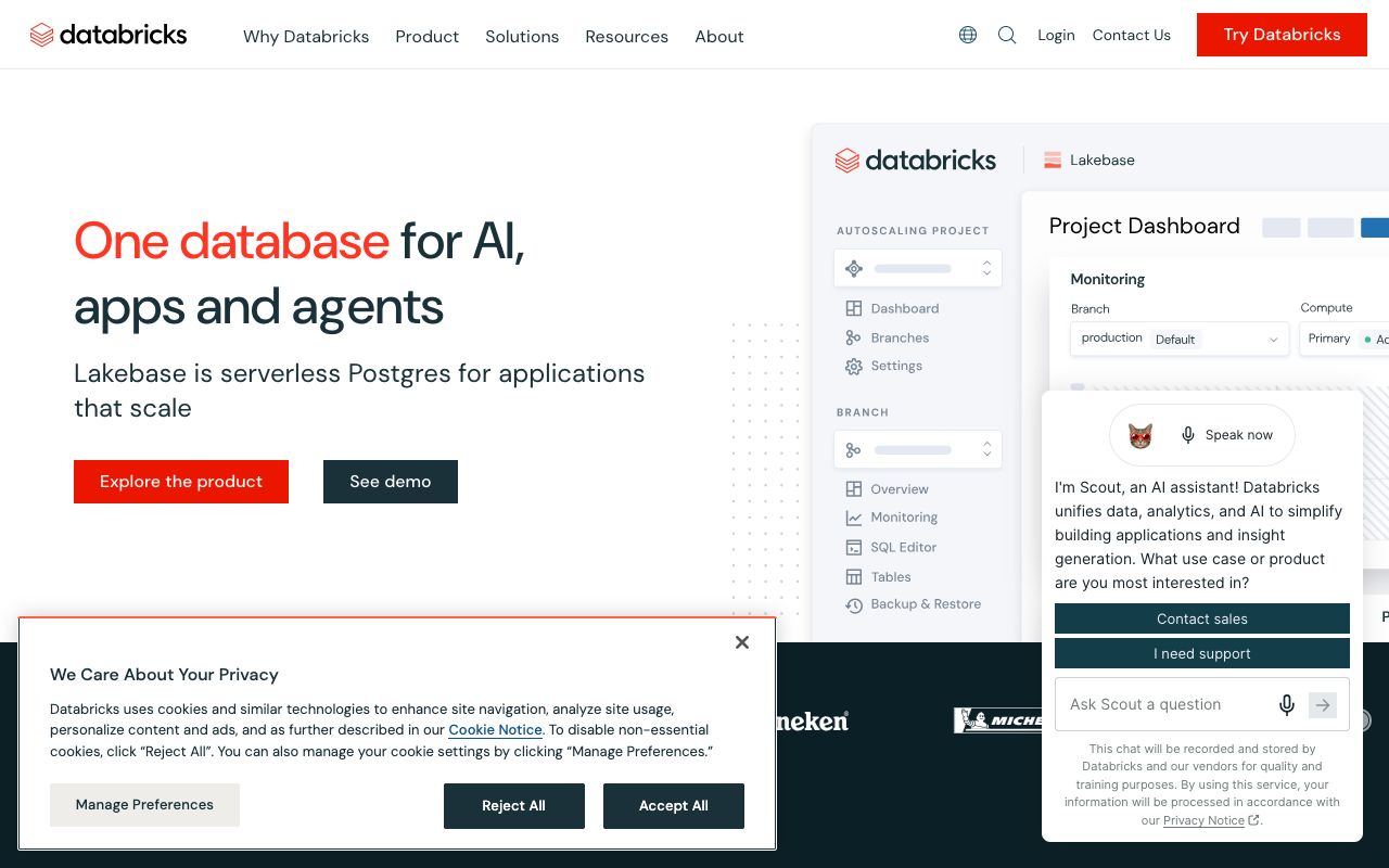 Databricks homepage